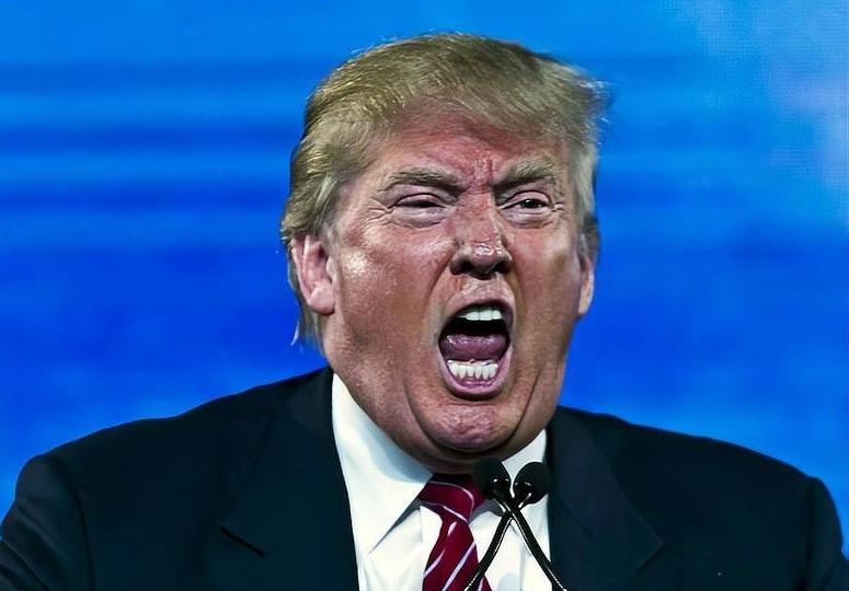 特朗普又胡言乱语了，最近他在白宫对媒体说：我们和丹麦的关系非常好，格陵兰岛问题总