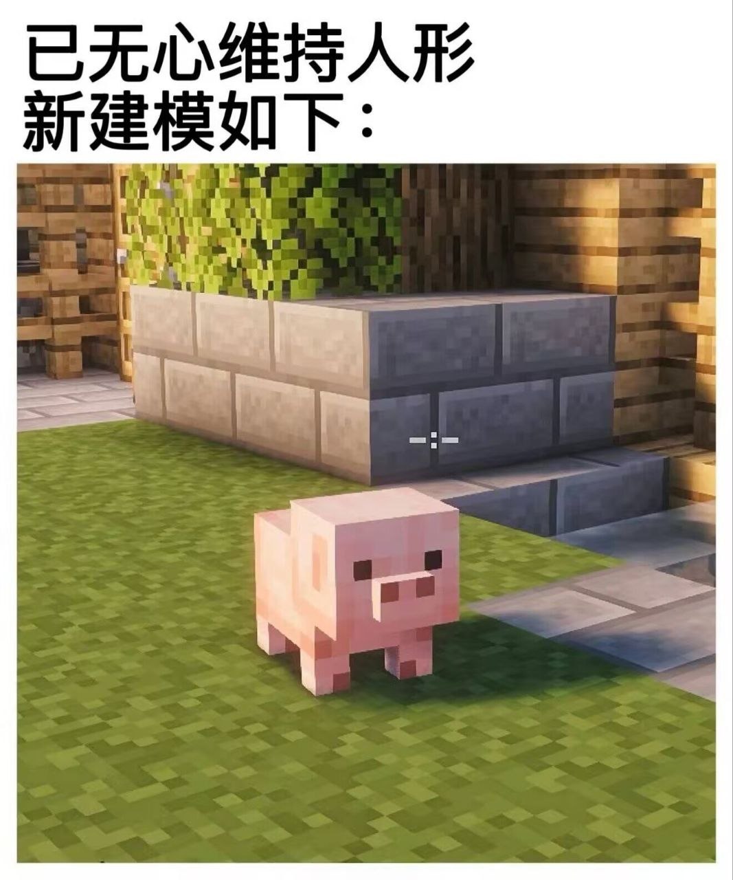 这我 
