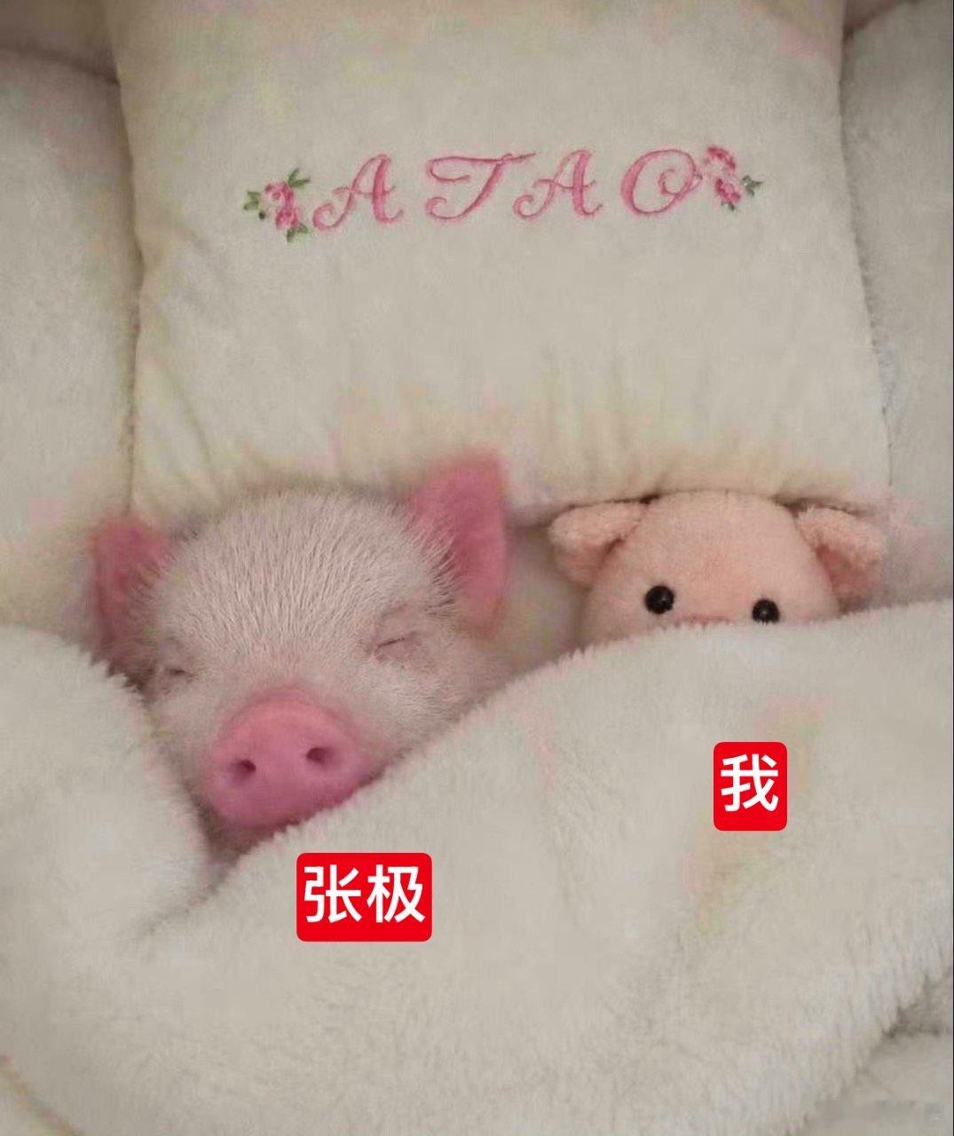 。 