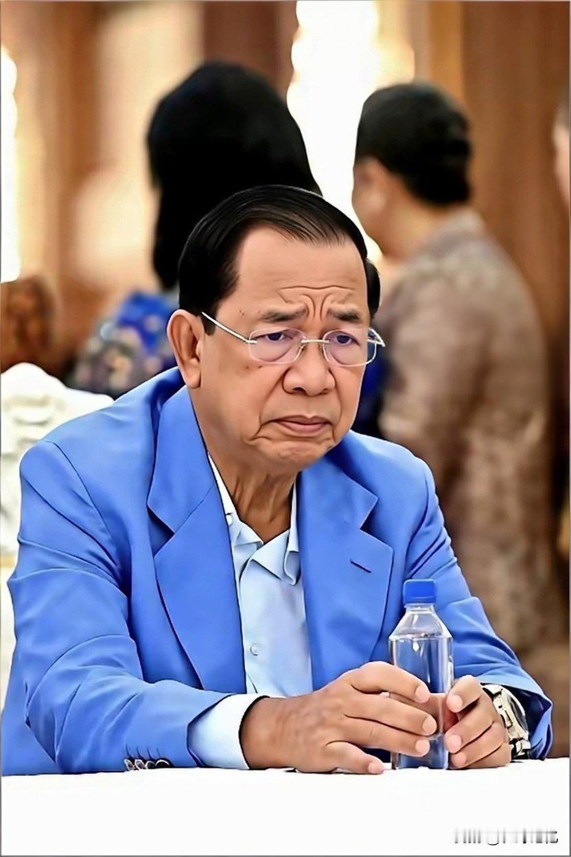 自作自受，洪森现在估计连肠子都悔青了。
 
想跟人家泰国谈吧，结果人家连个缝儿都