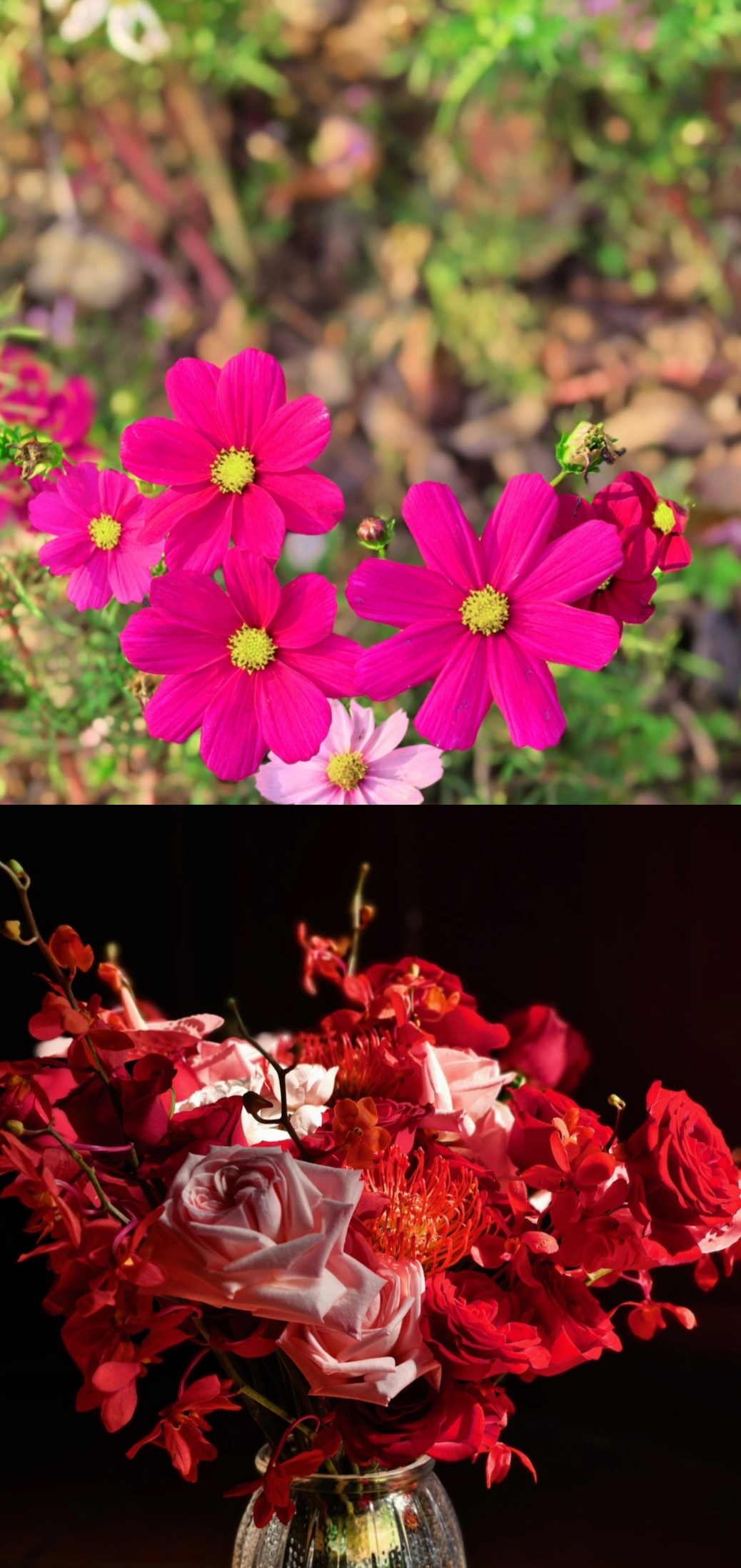 李少红导演分享手机拍摄技巧不是吧，阿sir？那些影响几代人审美的经典作品《大明宫