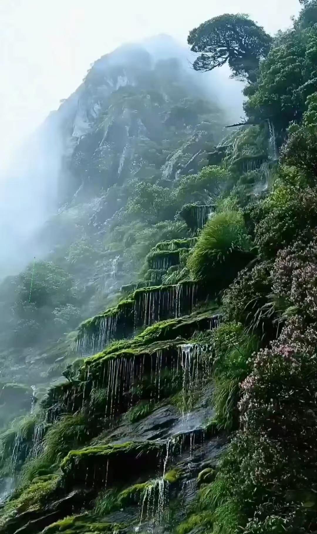 若有人问你:人为什么要活着？人生的意义是什么？你会怎样回答。这其实是一个伪命题，