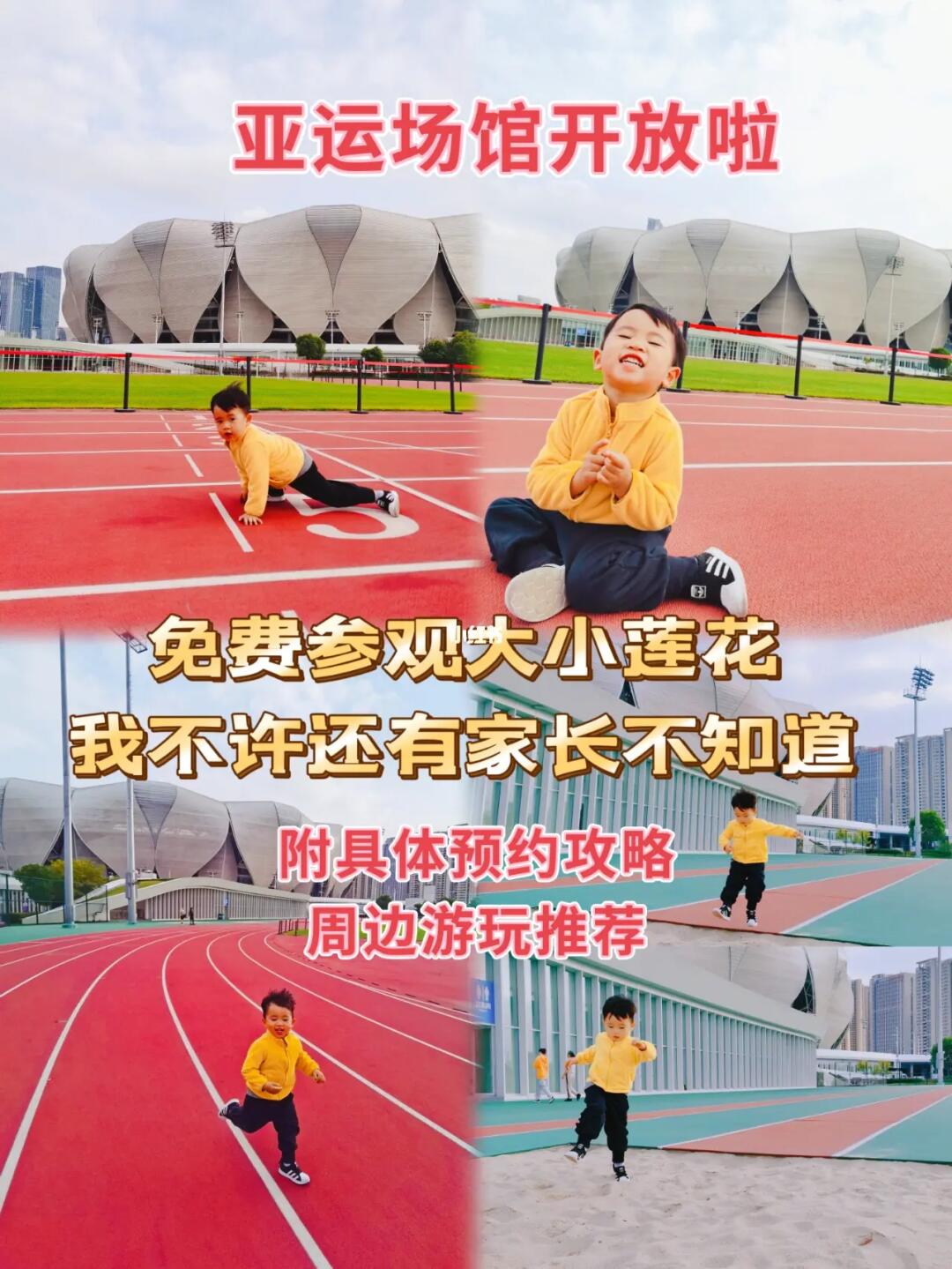 杭州溜娃/免费参观亚运场馆（大小莲花）