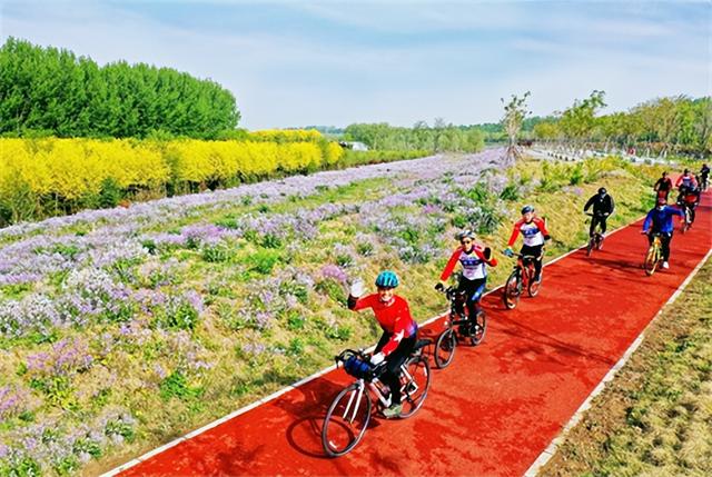 研学旅行|快上车！一路皆美景 城市副中心发布十大骑行线路