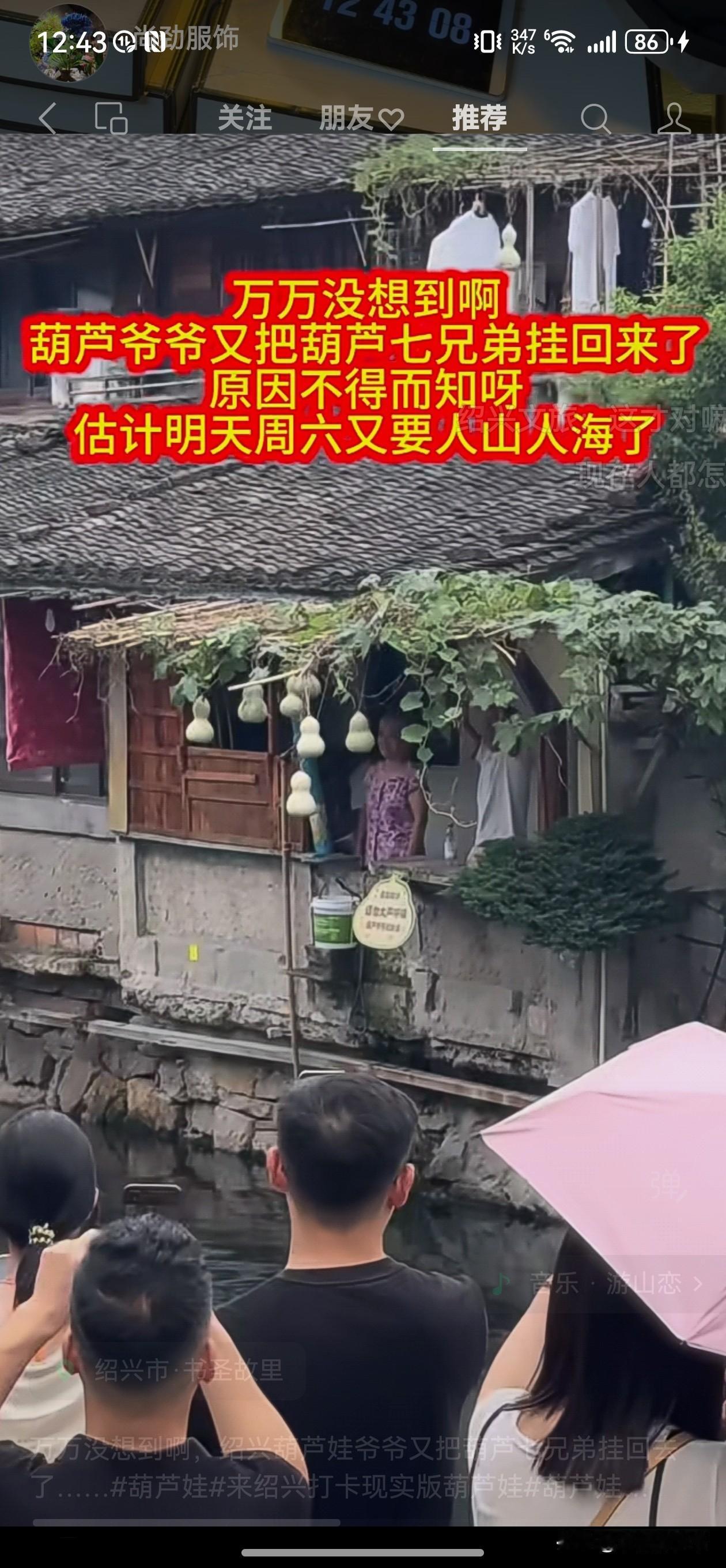 短短10来天，绍兴葫芦的一波三折是万万没想到的。先是被网友发现，众人纷纷打卡，然
