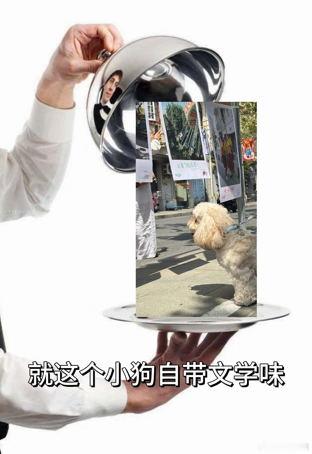这潦草小狗的这身段，看起来好像比我学习更好的样子。怎么这么认真的在看着什么啊，不