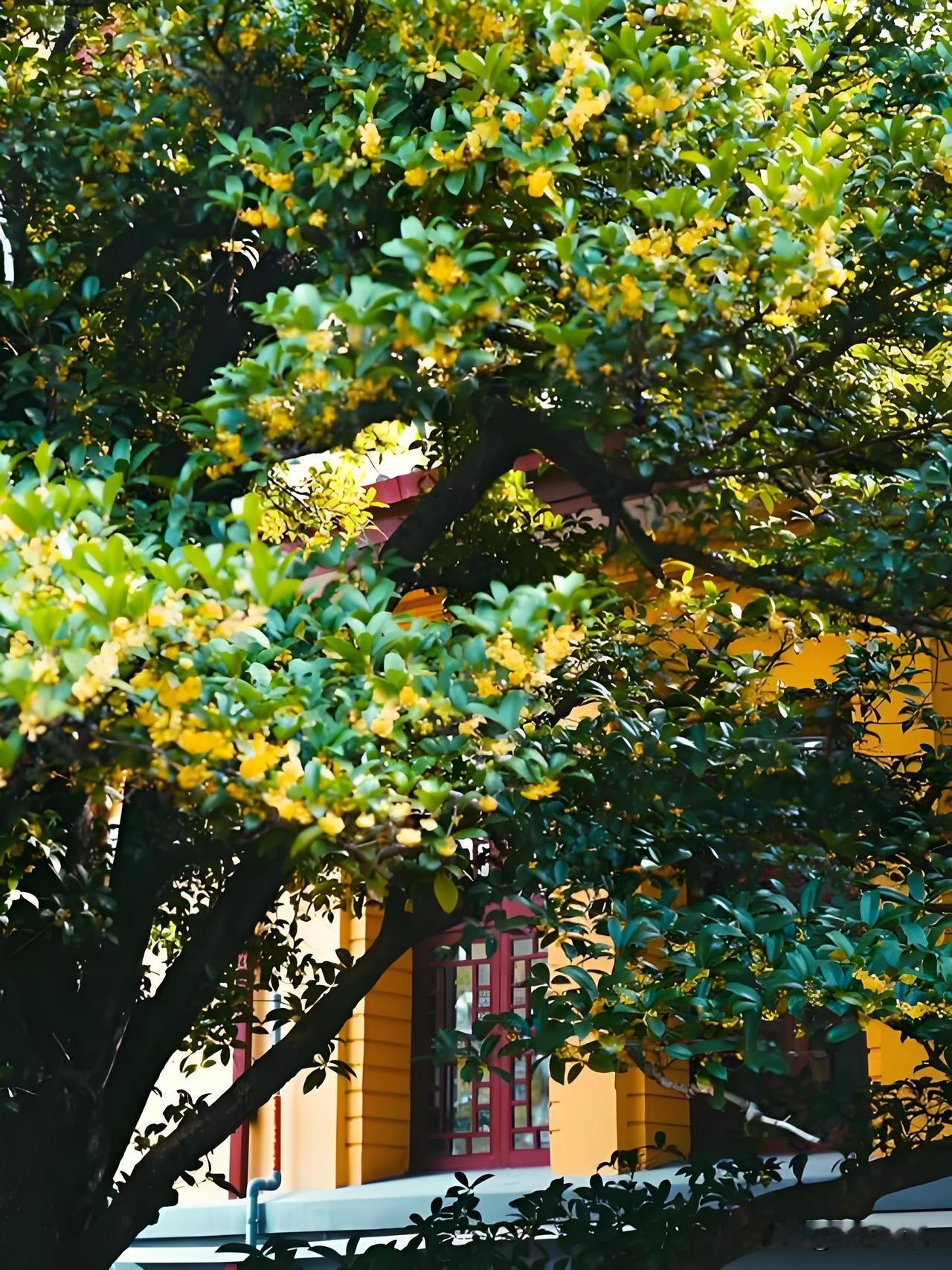 你的好运来了，能不能接住，关键看你的人品。你的诚实、你的口德、你的心态和你的为人