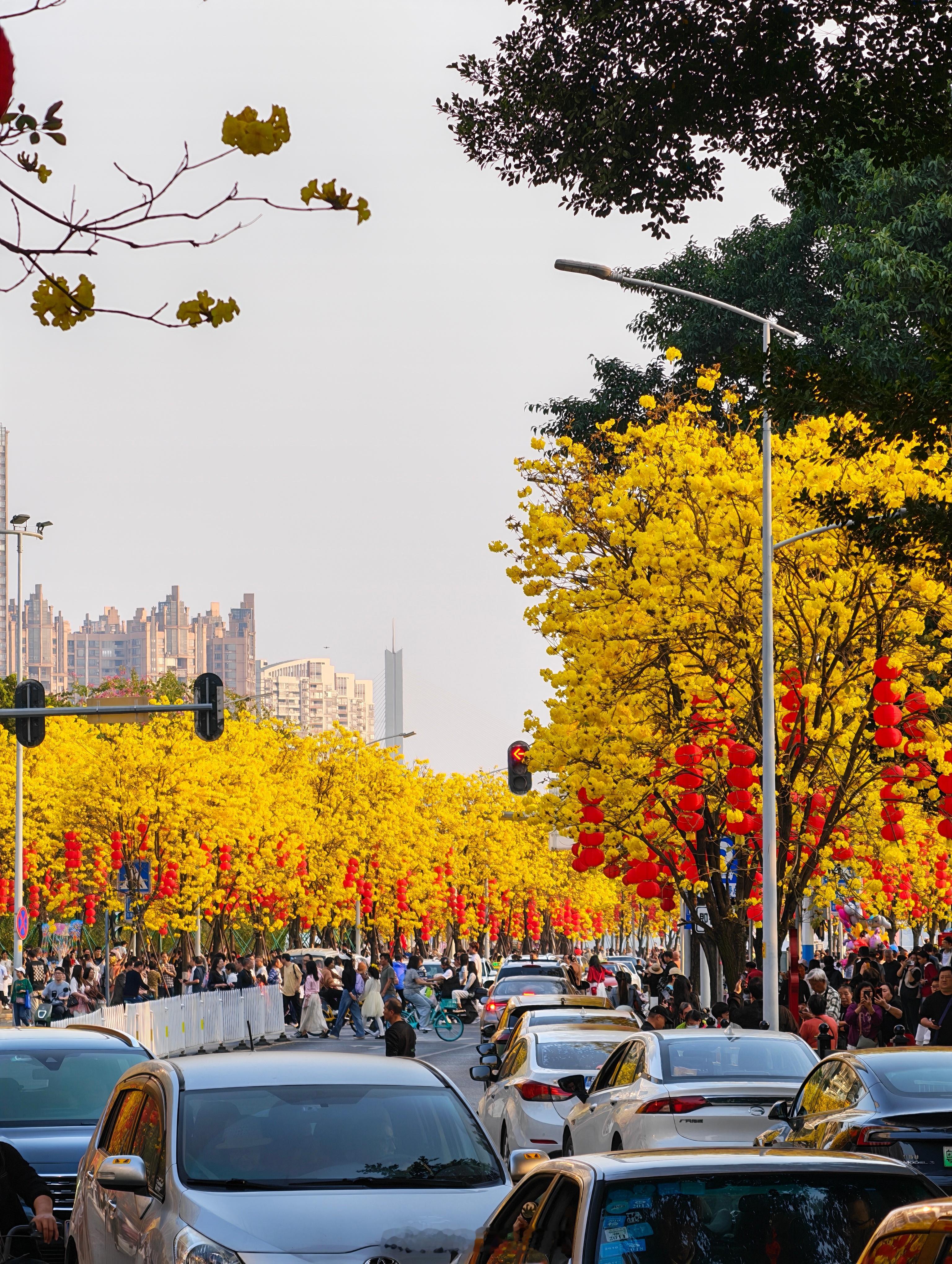 2 月份的广州，室内热到要开空调制冷。 广州