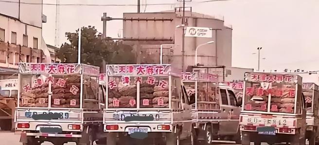 2000年，神秘组织“天津大麻花”，明明没人买却走遍全国，如今才彻底明白，里面竟