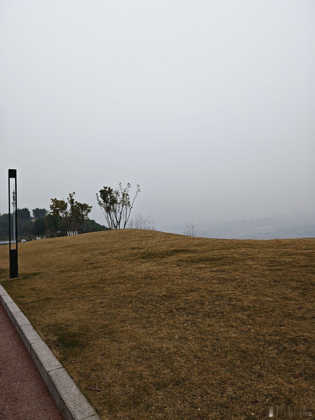 这么撇的天气，也被拉出来逛公园，感觉马上就要下雨🌧️了。。✨✨  