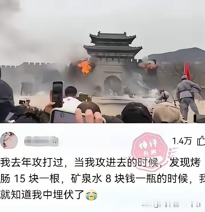 20元买两片树叶男孩认真回应购买原因：这个地方太湿，现在总算看到干巴巴的东西了[