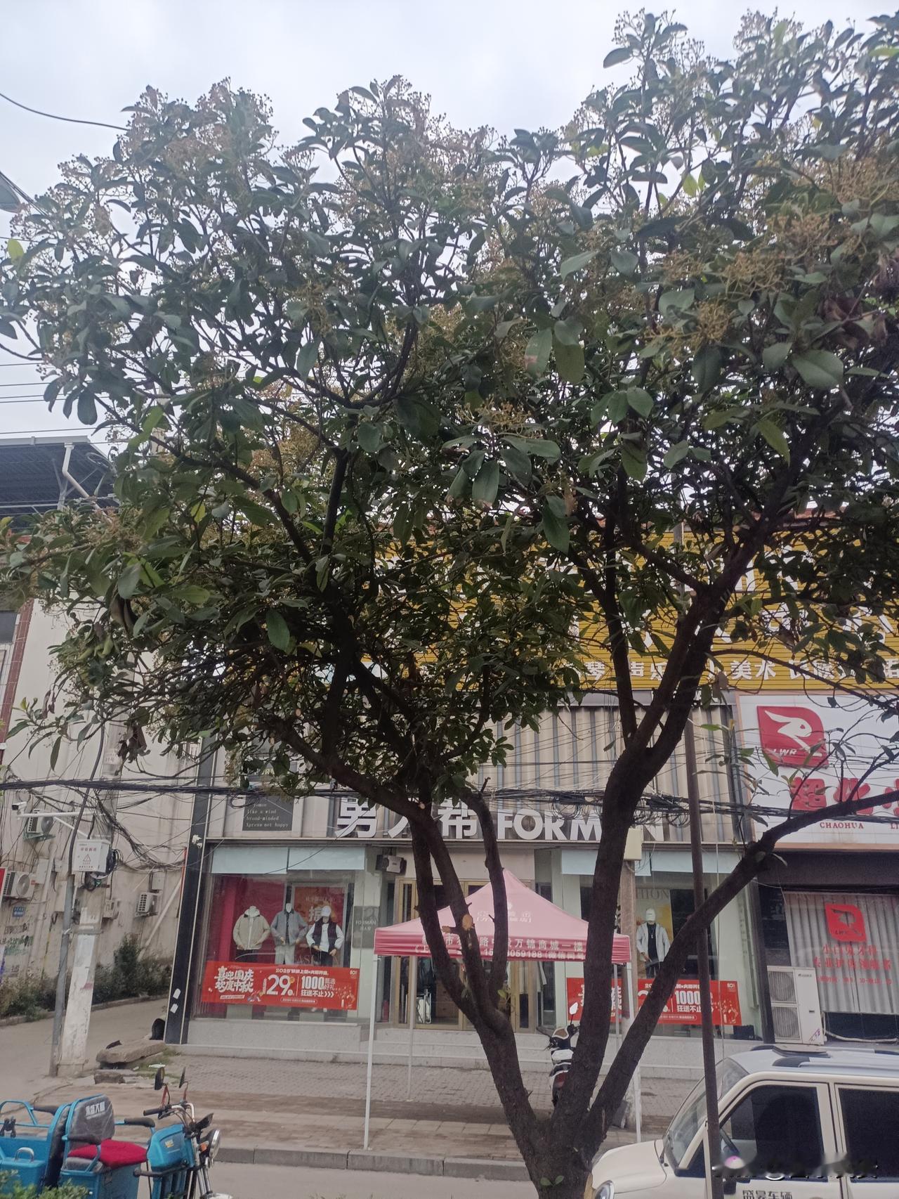 靠自己双手跑单挣钱，风里来雨里去撑起生活，送外卖不仅不丢人，反而是超靠谱的谋生方