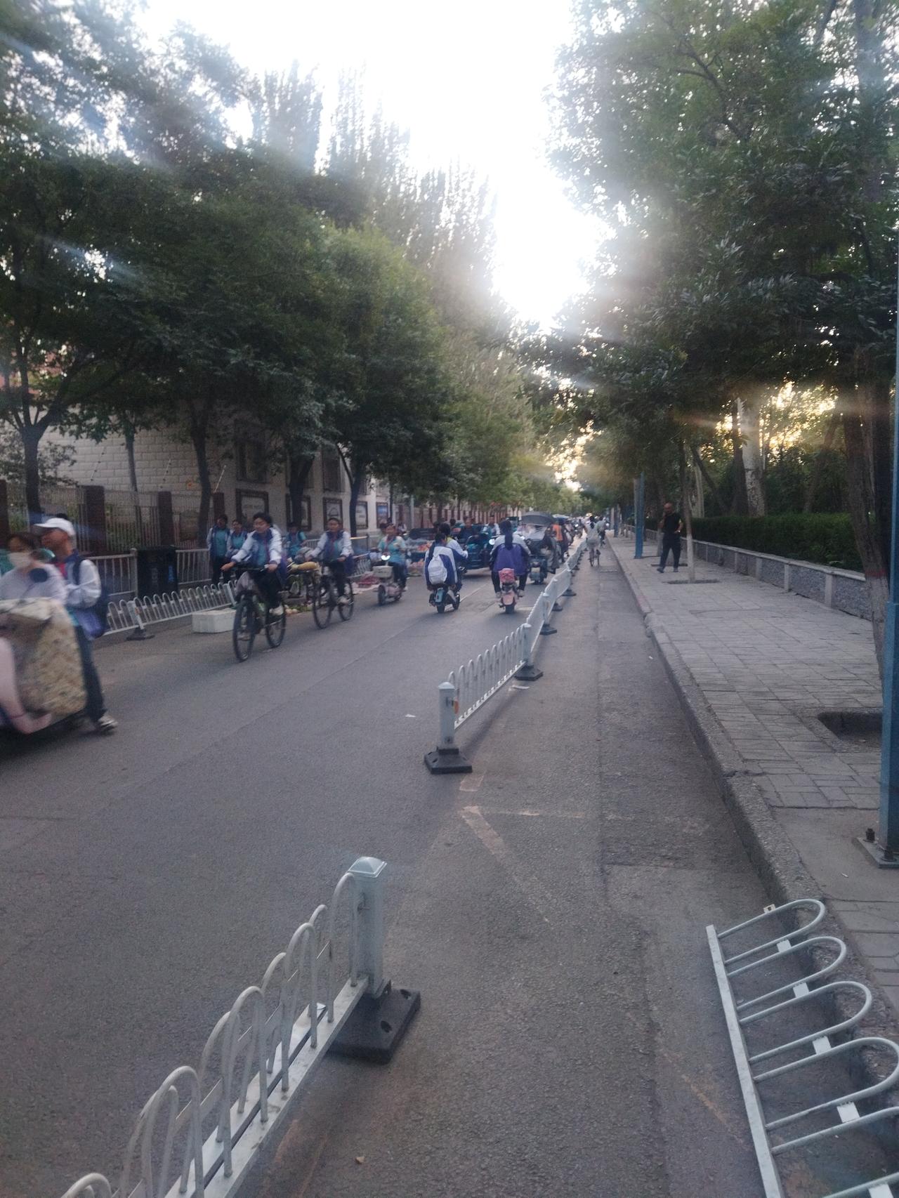 真不知道管理部门是怎么想的？这样的栏杆存在的意义是什么？本来就不宽的巷子两边全设