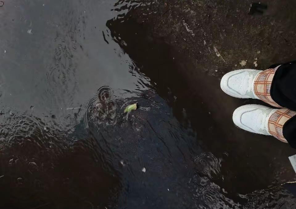 下雨天 雨天视角 潮湿路面 雨天听雨 南方的天气