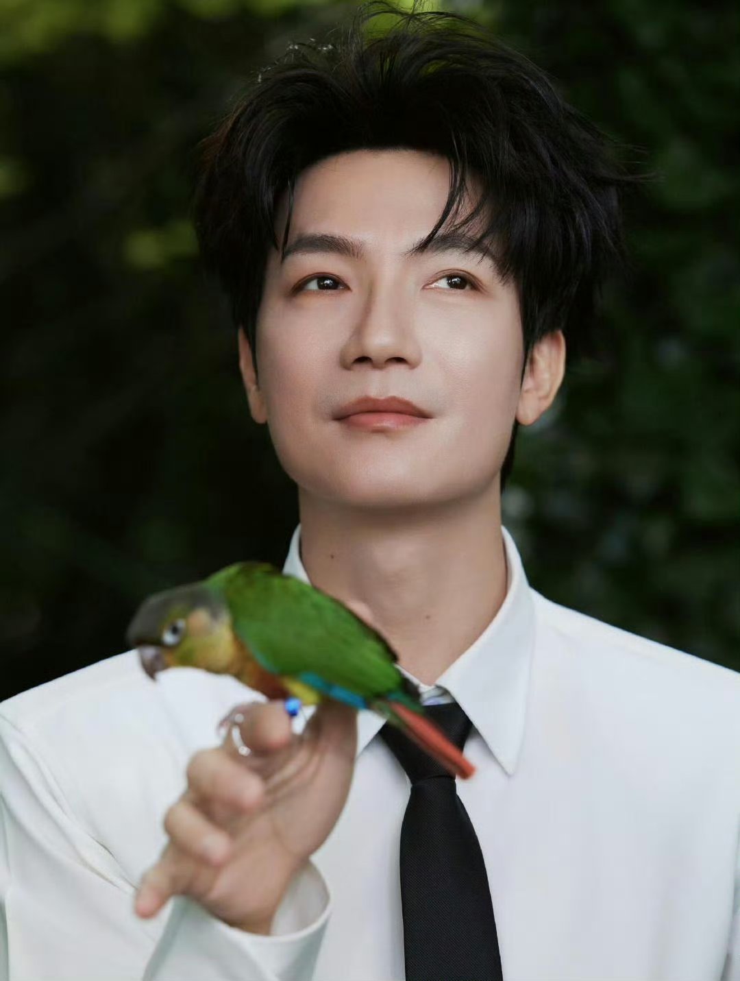 陈楚生演唱会送现金大奖谁能不被陈楚生打动！三亚生日现场突发小状况，转账受阻，他当