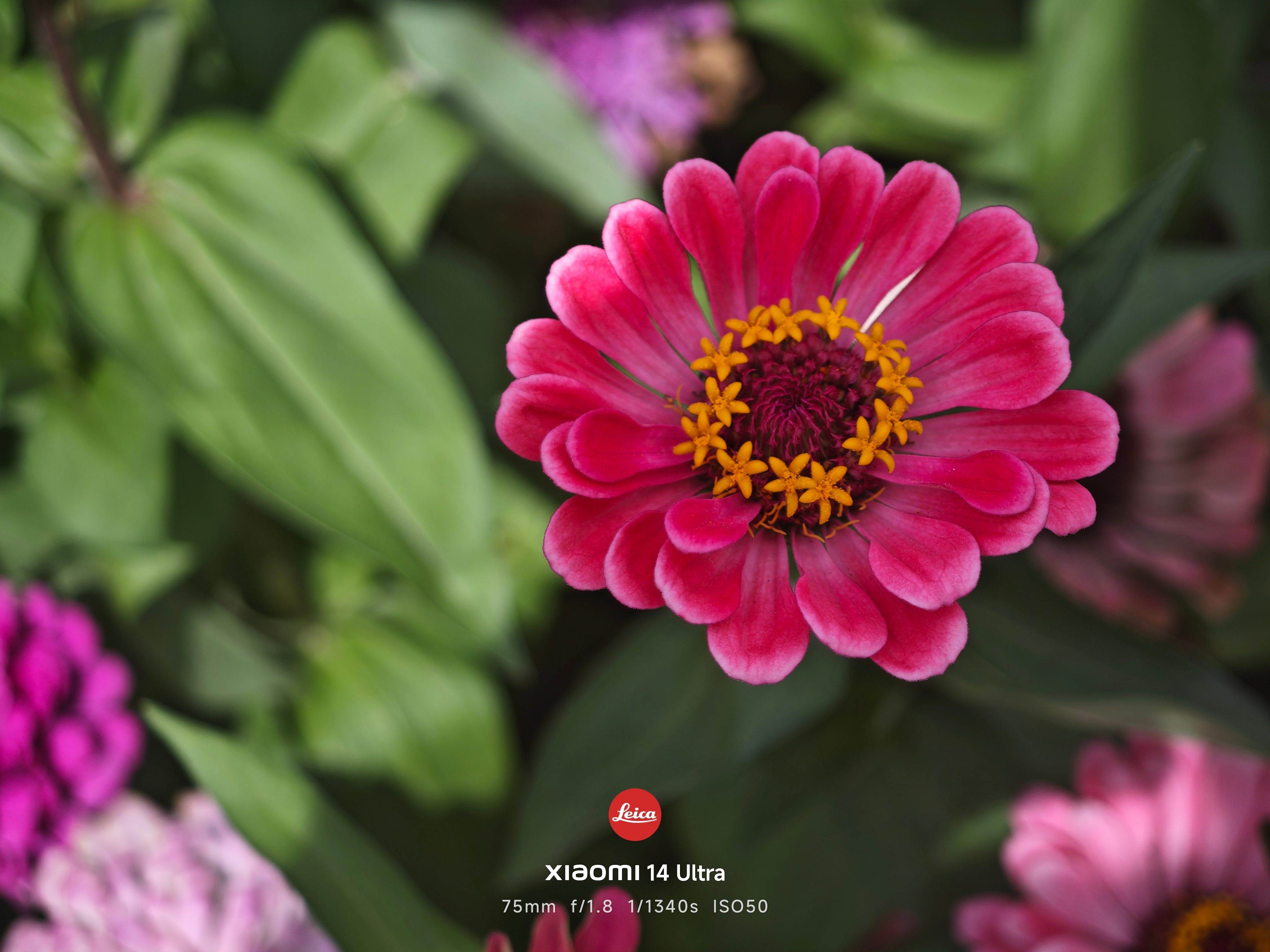 小米上线电池升级服务 只要支持到14Ultra，那14Ultra依然是神 