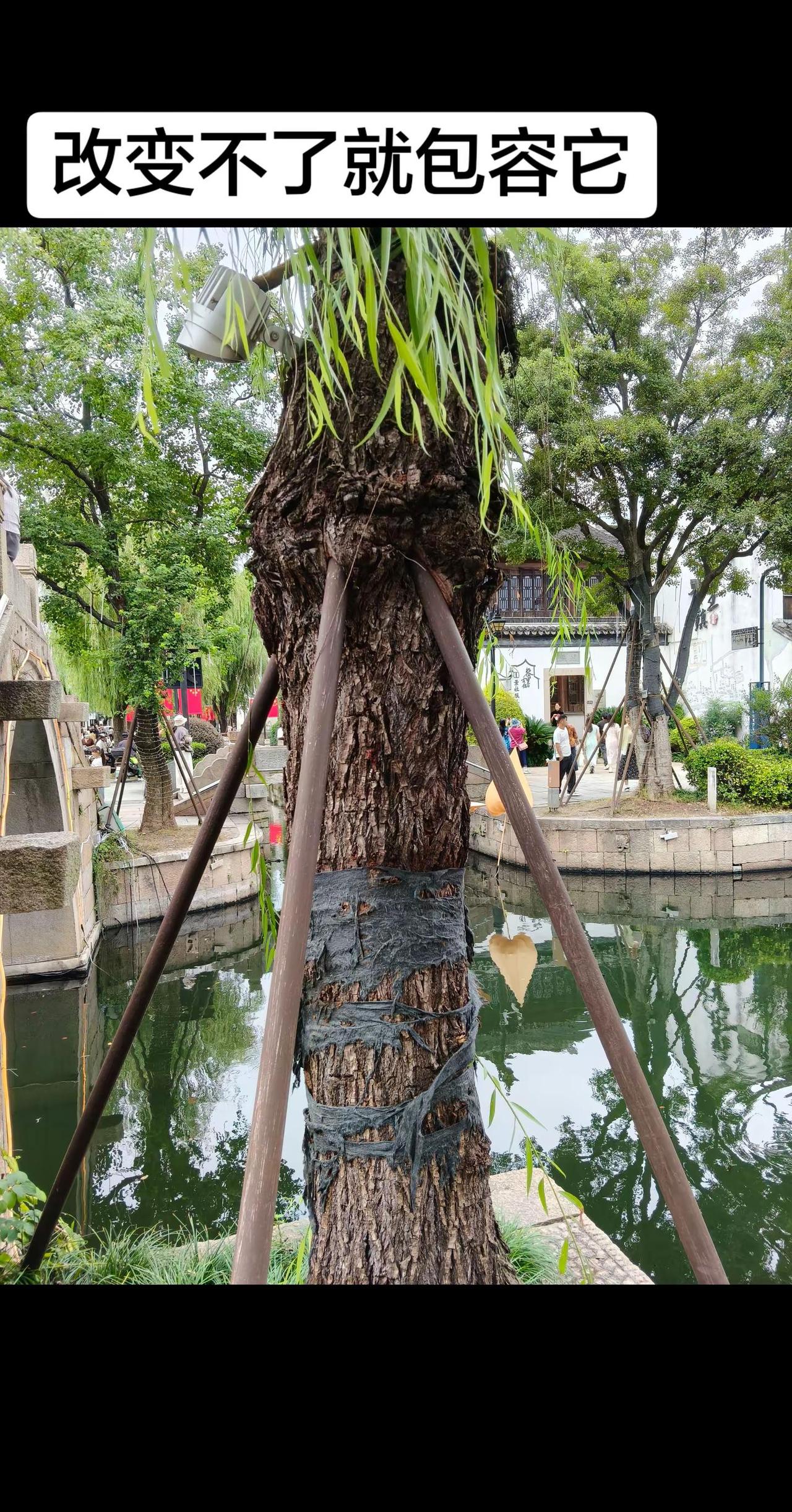 改变不了就包容它