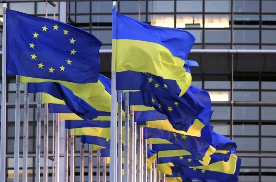 《费加罗报》消息，当地时间11日，欧盟委员会宣布，经欧洲议会投票，当天正式通过了