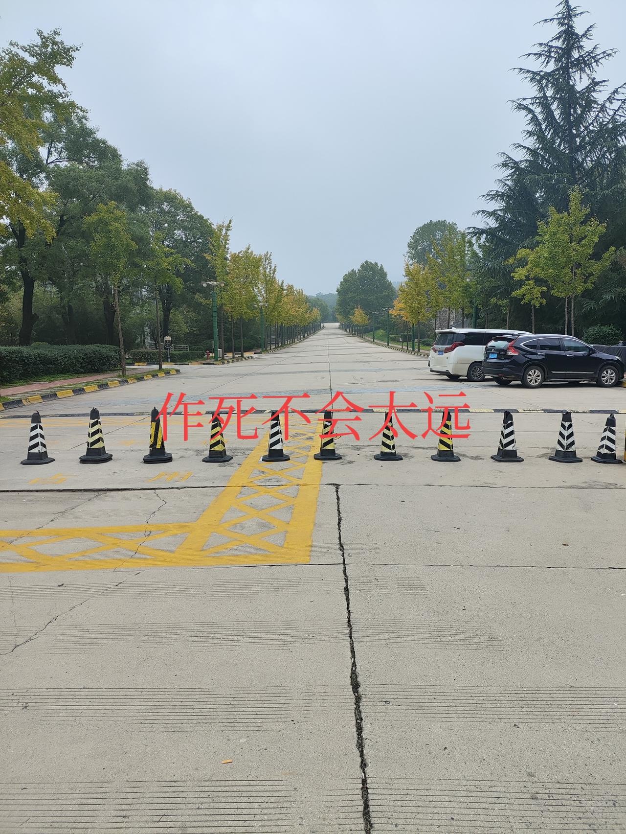 高市早苗的嘴硬只是因为还没被打痛

风暴中看似平静的高市，不仅没有被压垮，反而一