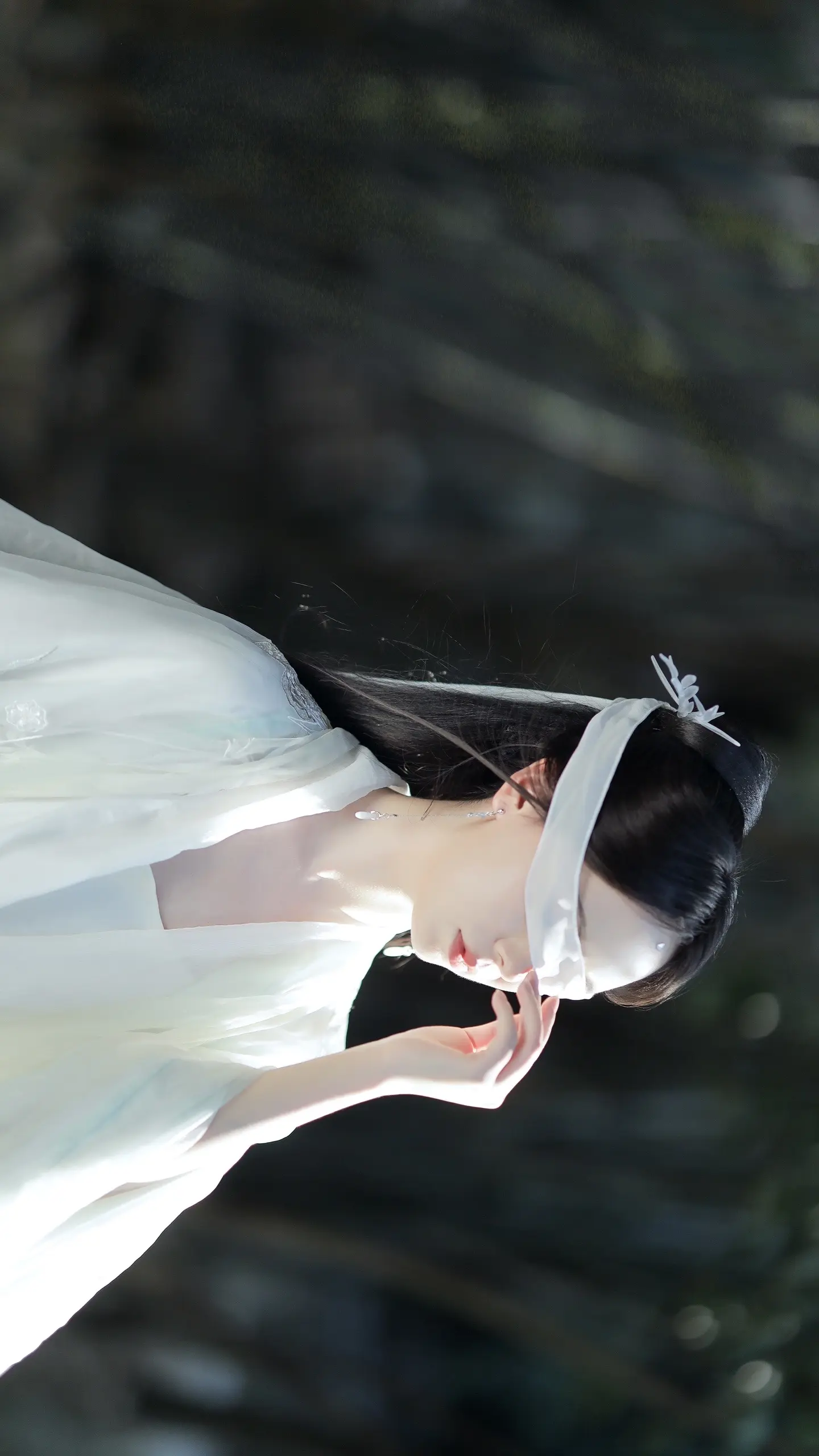大道无情，师妹。