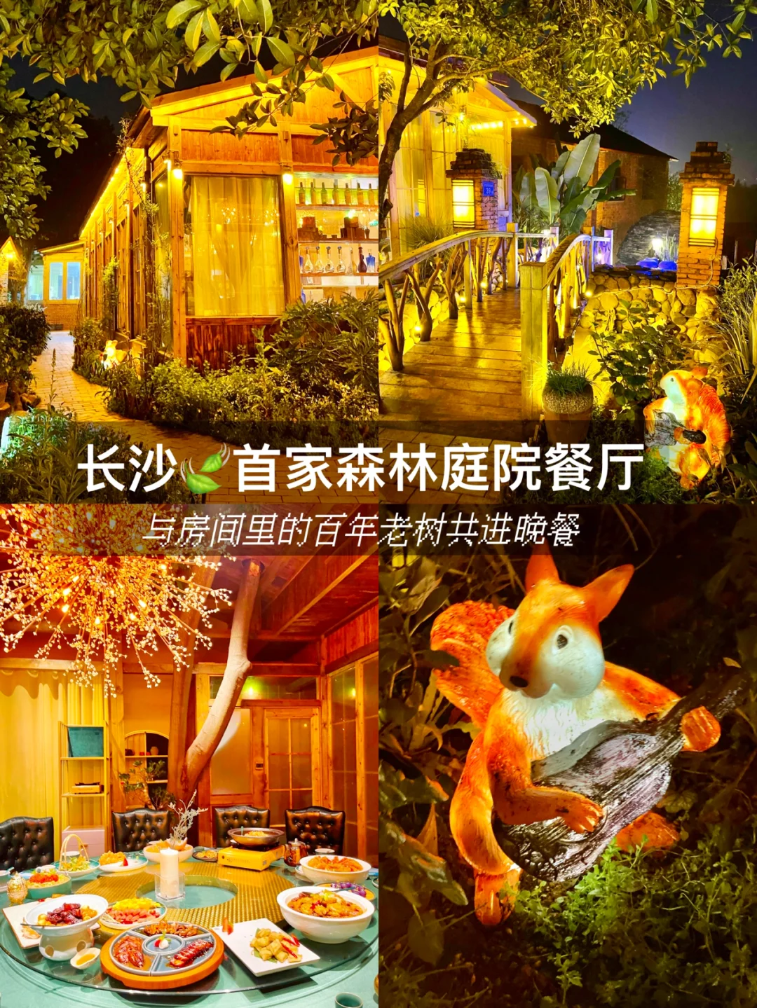 长沙探店🍃在森林庭院餐厅和百年老树吃饭