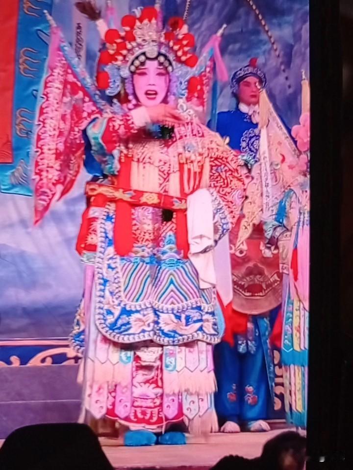 张磊磊，是漯河市豫剧团优秀青年演员。主攻青衣、闺门旦，师从豫剧陈派再传弟子郭美金