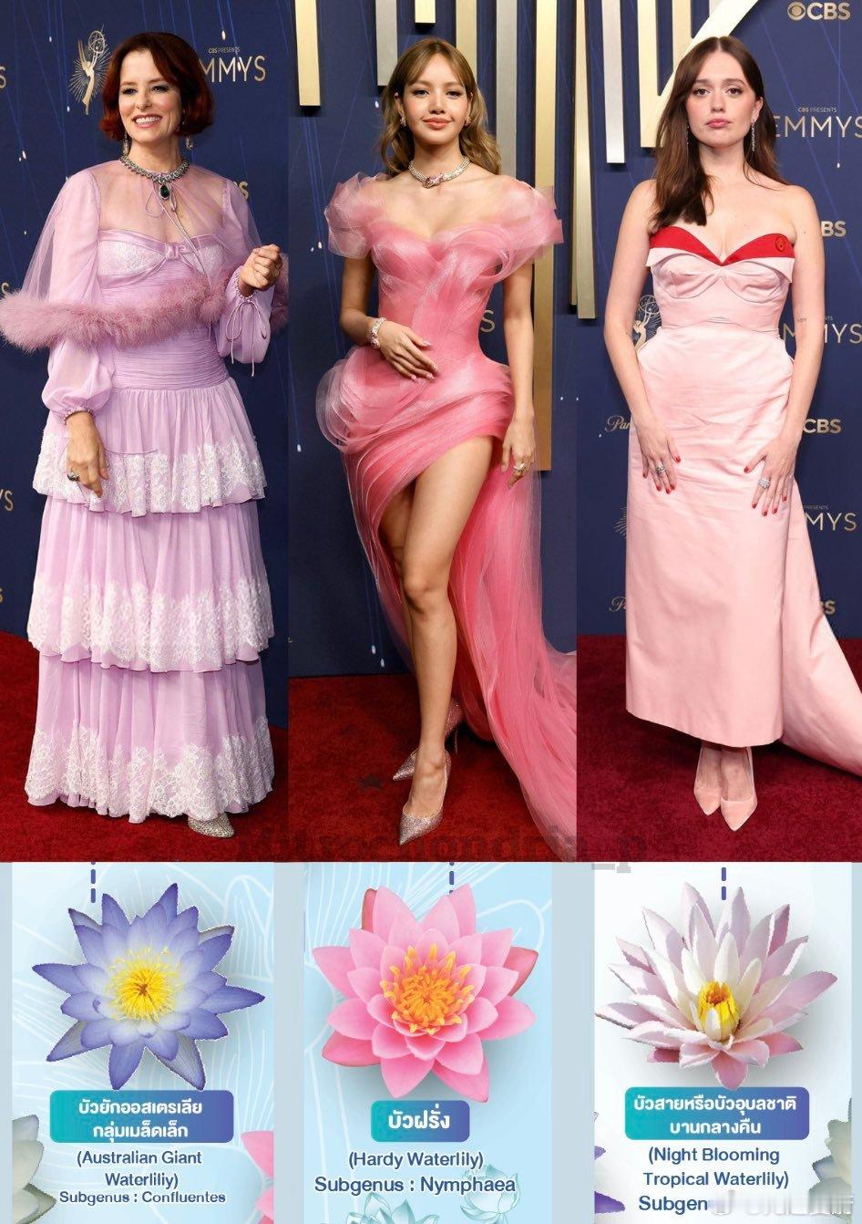 一整个白莲花的概念 lisa ​​​