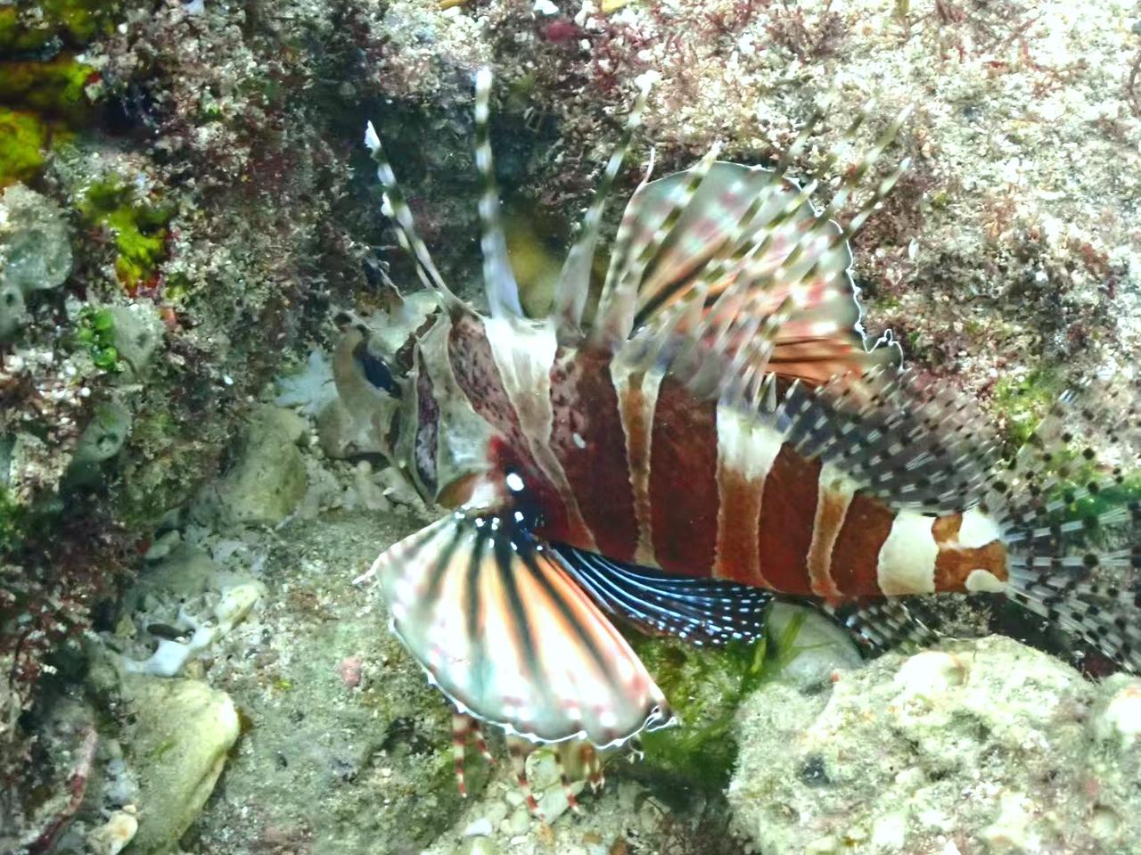 晒一张你相册里的风景照