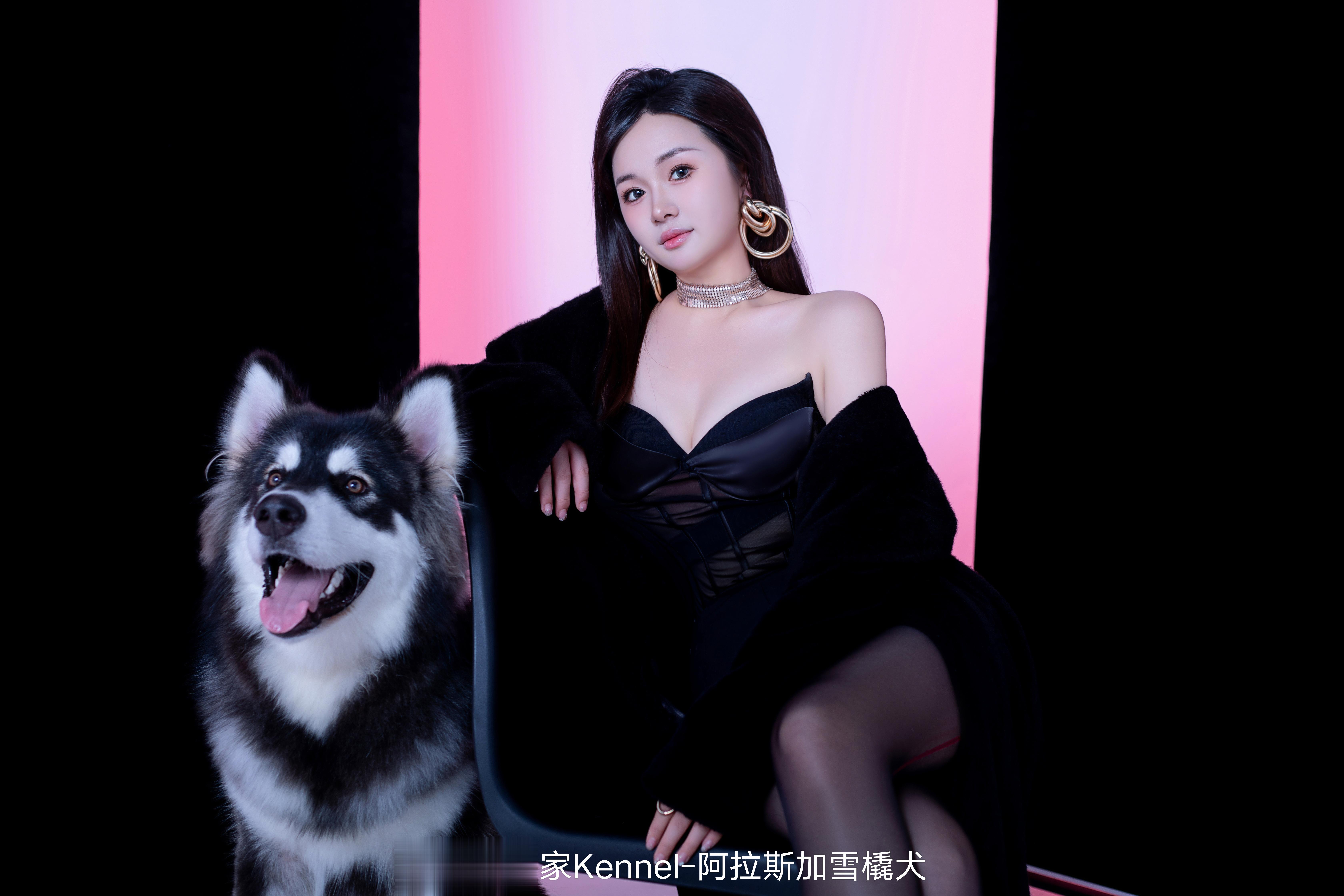 阿拉斯加+美少女主人 【客户回访】 上海 ​​​