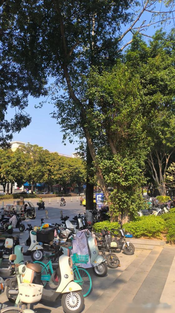 女人就吃这套，

但好多男人搞不明白。说白了，女人要的，就是“被看见”的感觉，再