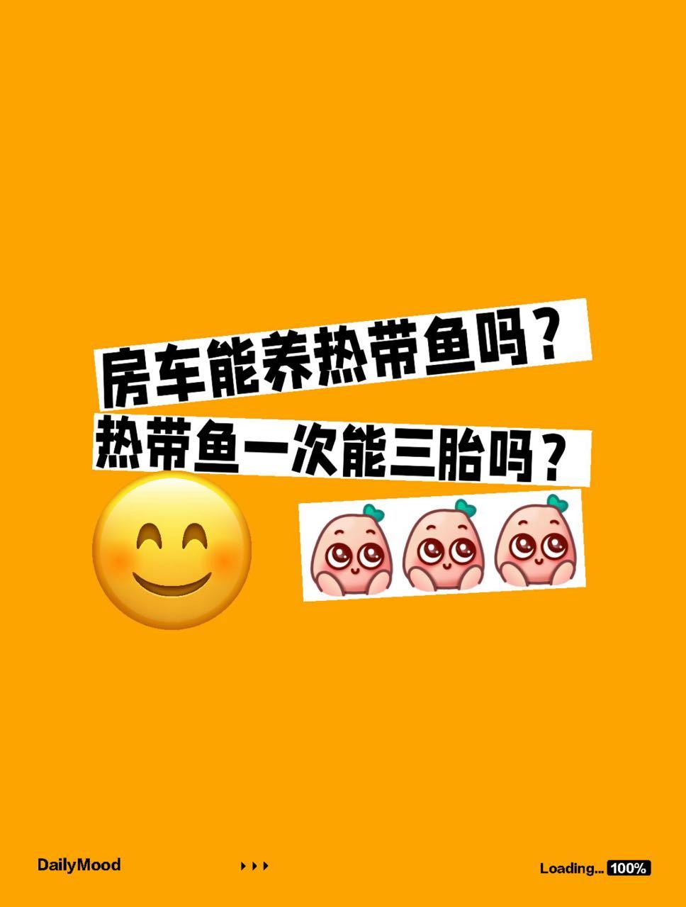 唉，我这一颗驴心啊，怎么就拴在了那条黄鱼身上？房车我都准备好了，三胎的名字都想好