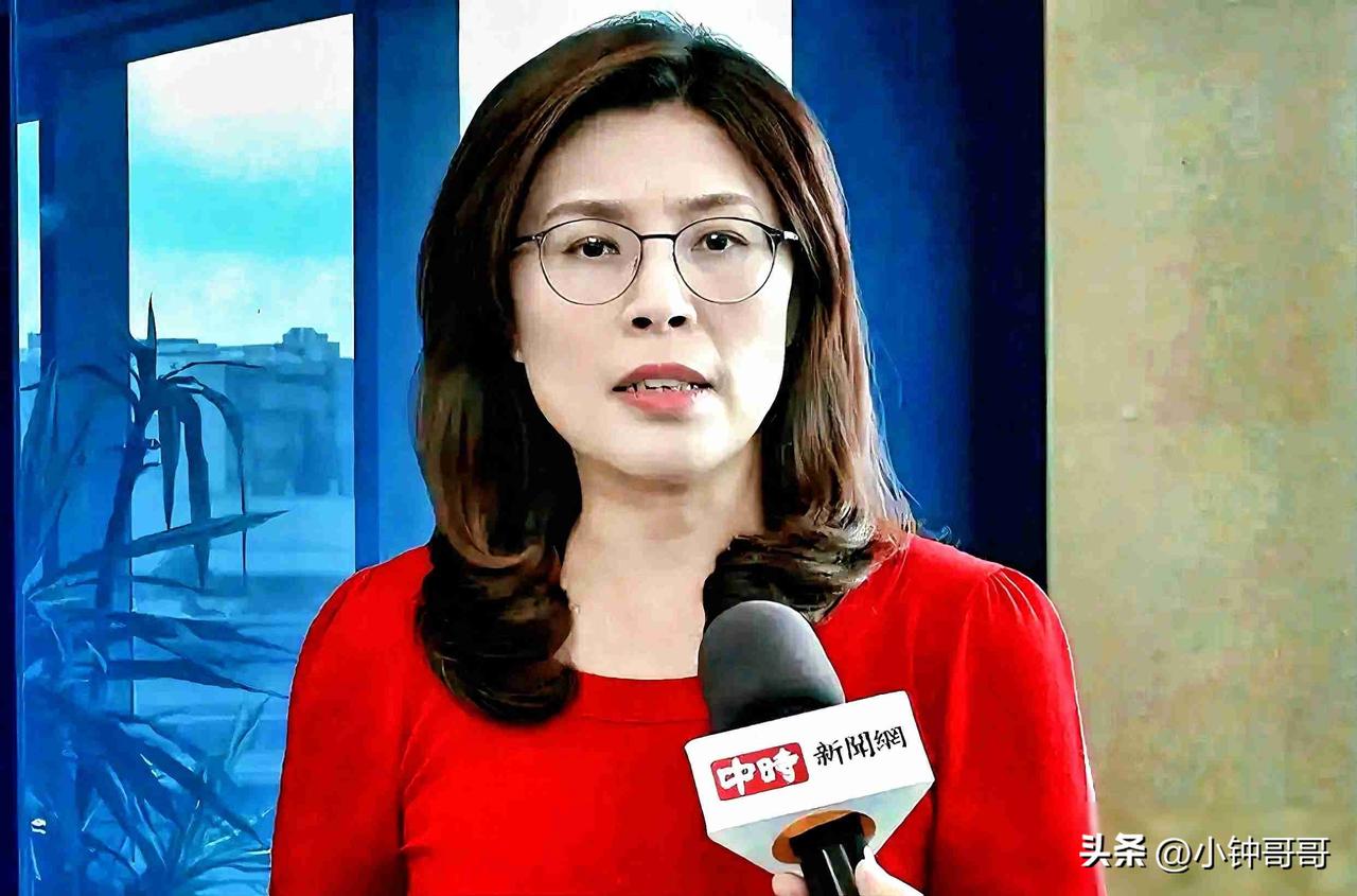 郑丽文率团赴陆，蓝营内部分歧加剧，2028谁主沉浮？

2026年3月，国民党前