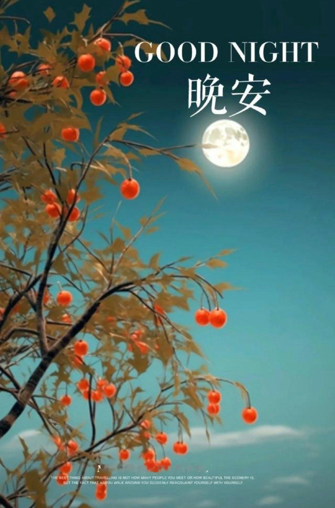 #小灰灰的朋友们[超话]#希望你说晚安是真的睡了而不是打开另一个窗口说：“我睡不