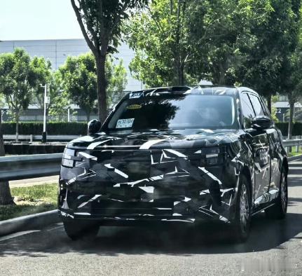 小米昆仑，全尺寸SUV，增程，对标理想L9和问界M9的。这款车才是小米今年最大的