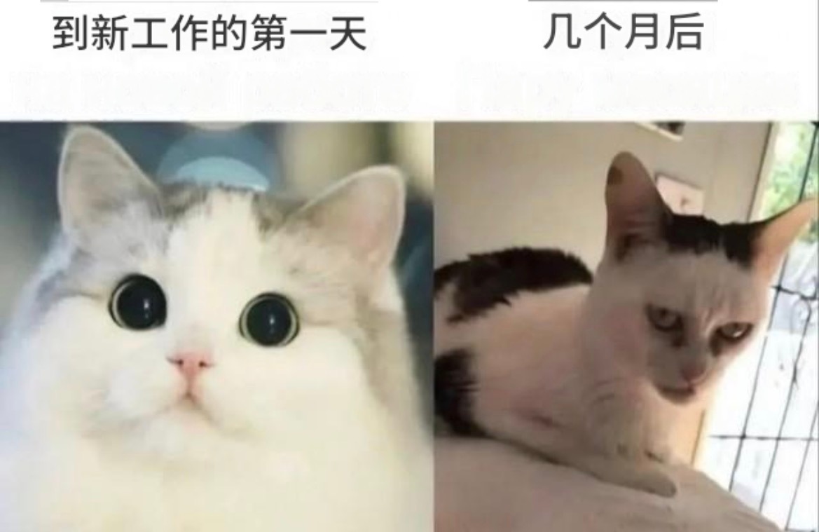 首页哪位 