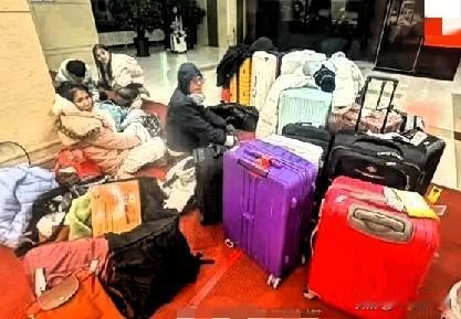 哈尔滨翻车？？？
16人家庭团冻在酒店大堂，4万预付款要不回！
 
最近哈尔滨旅