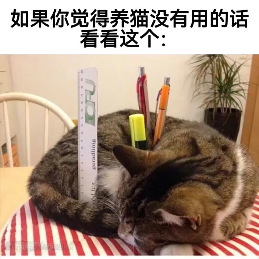 这仅仅是咪一个微不足道的优点