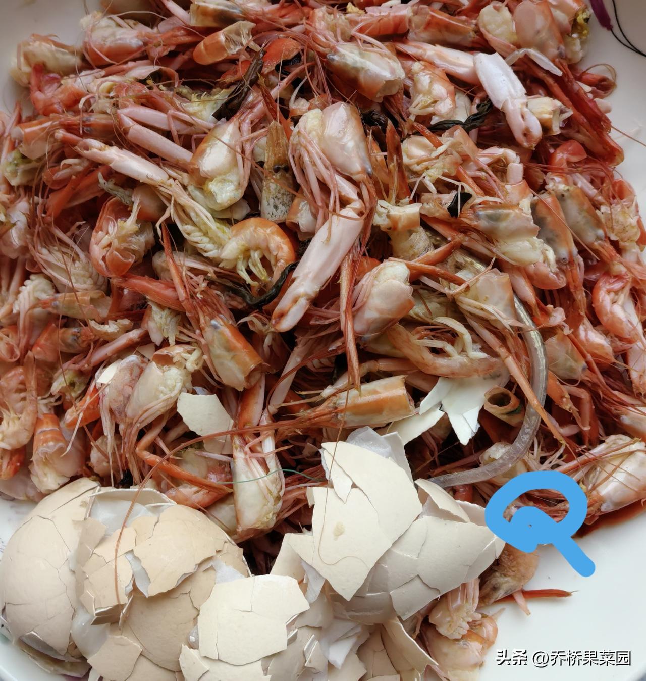 特别要注意的四种肥料元素是镁钙铁锌，都要有。

镁和锌，是帮助黄瓜增强抗逆性的。