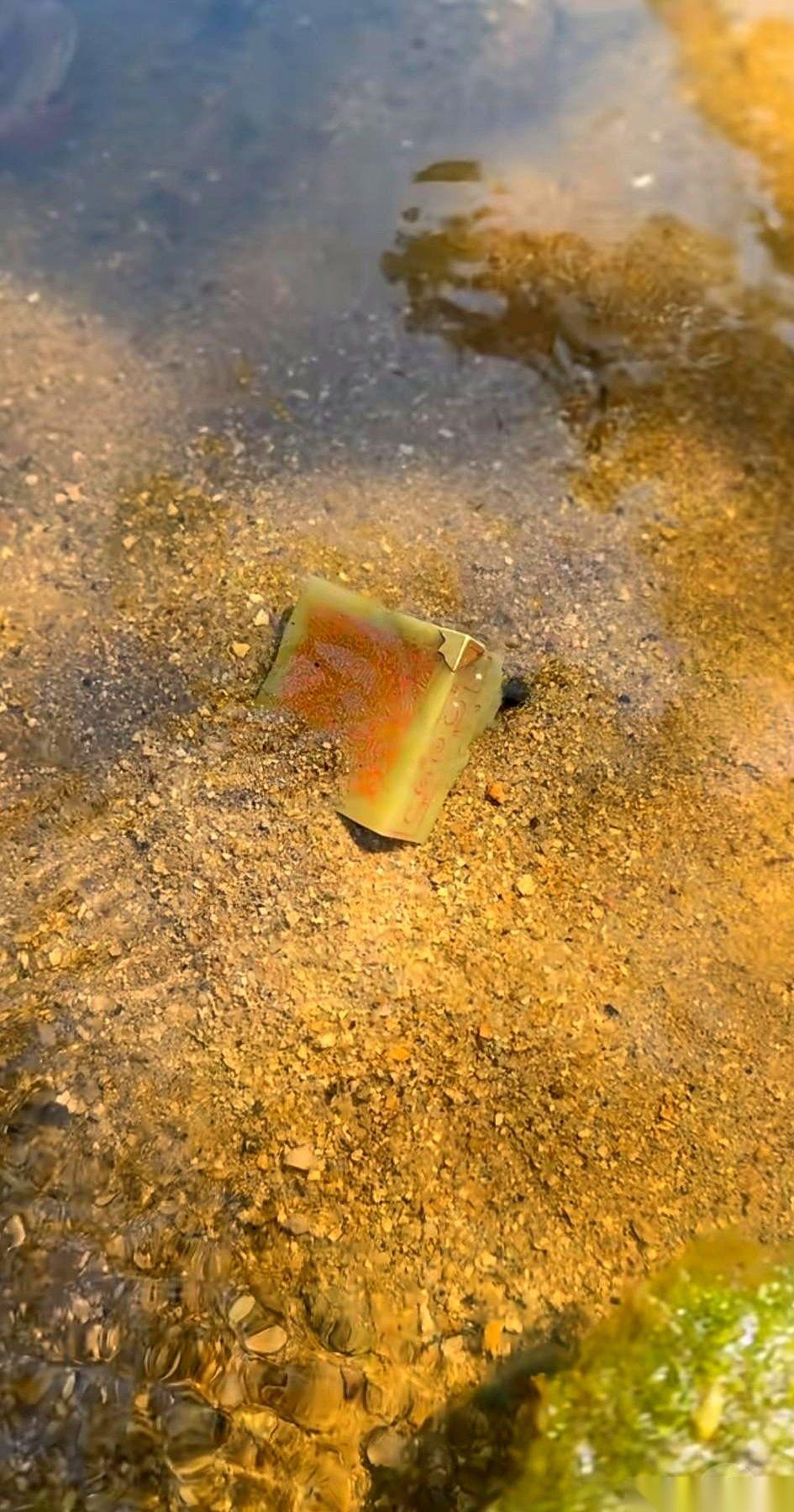 脚底一滑，我顺手在河沙里一撑，指尖却碰到一片冰凉的“鳞片”。
根本不是石头的触感