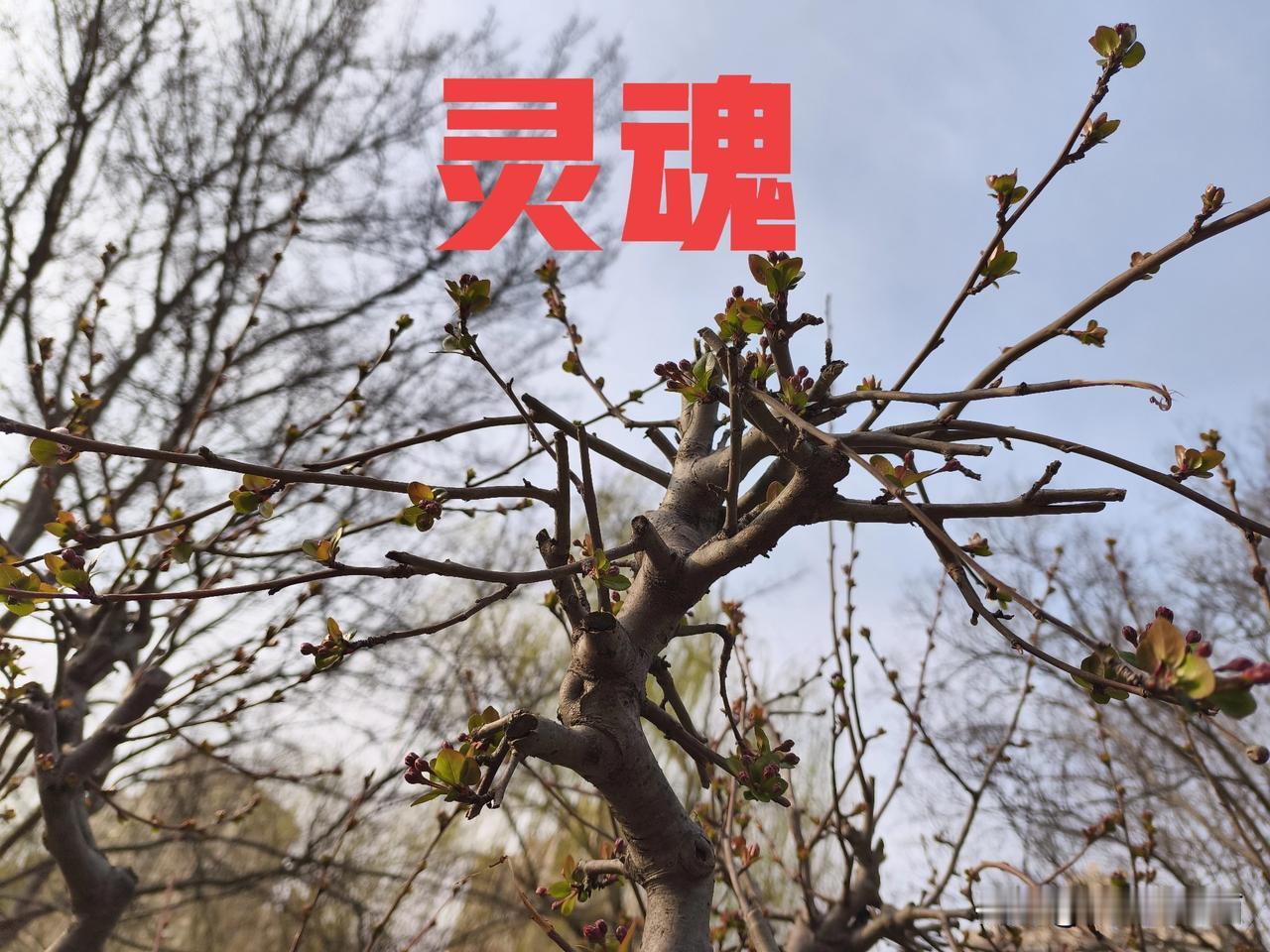 人这一生有什么东西永远属于自己有一颗经得住天地良心考验的灵魂，这才是这一生永远属