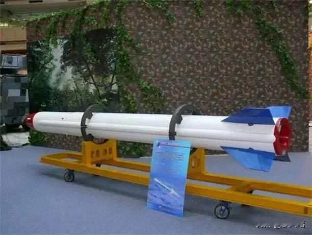 湾湾真会玩啊！神经过度敏感！
我国这次战略洲际导弹一发射，湾湾就急于出来“赶刀”