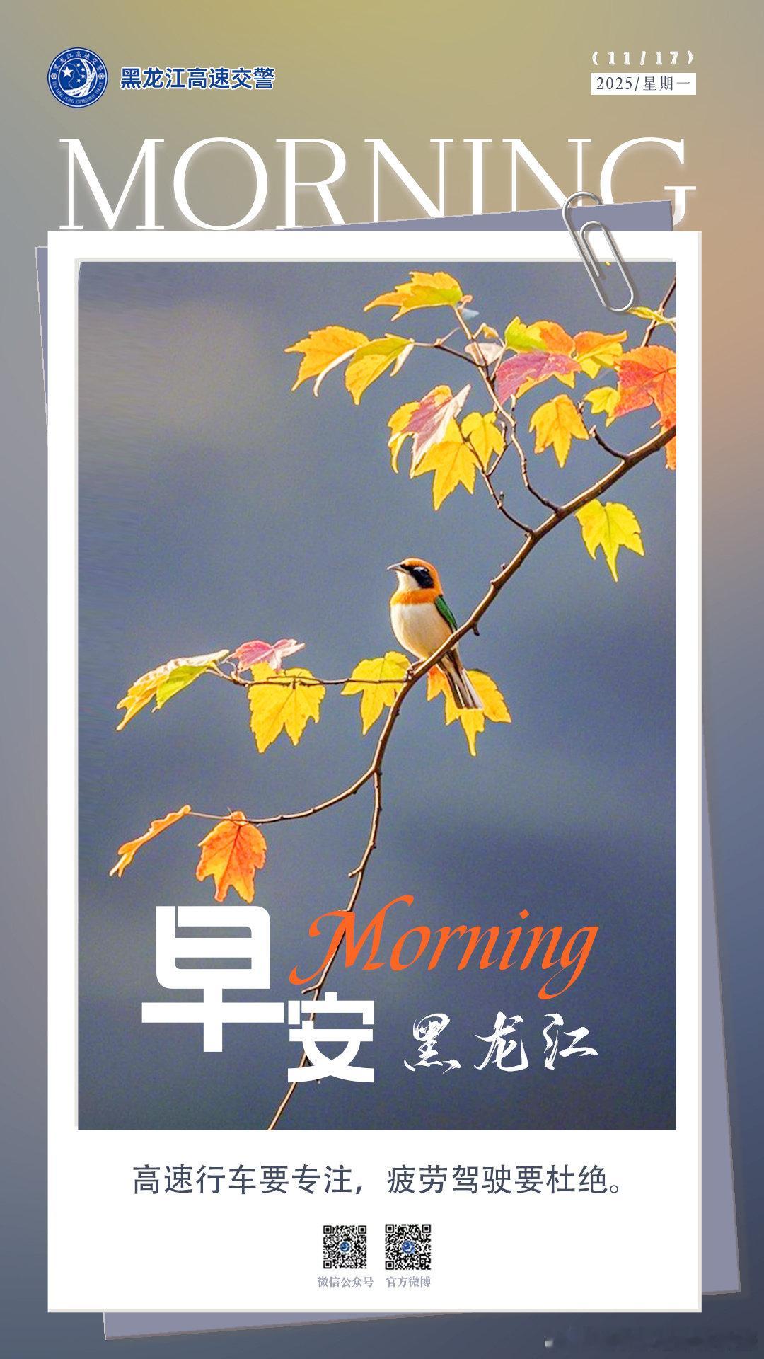 高速行车要专注，疲劳驾驶要杜绝。早安 （） 