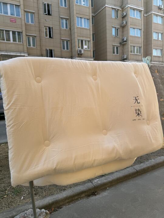 春天的被子已经晒好了！