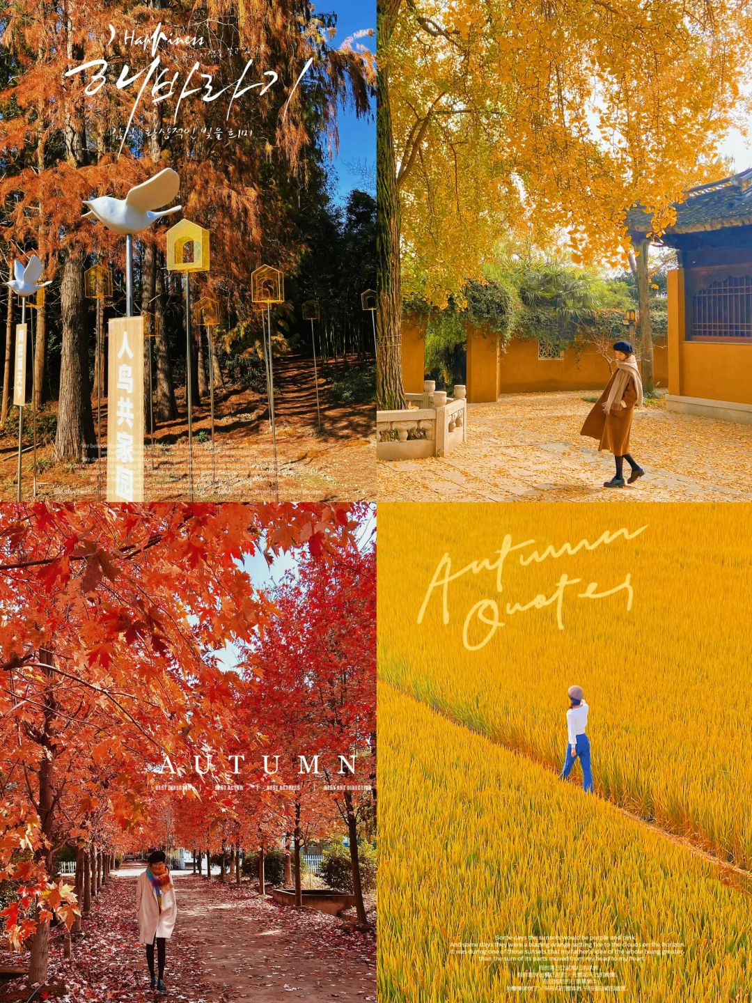 苏州赏秋🍂走进油画中7⃣️个秋天的秘境