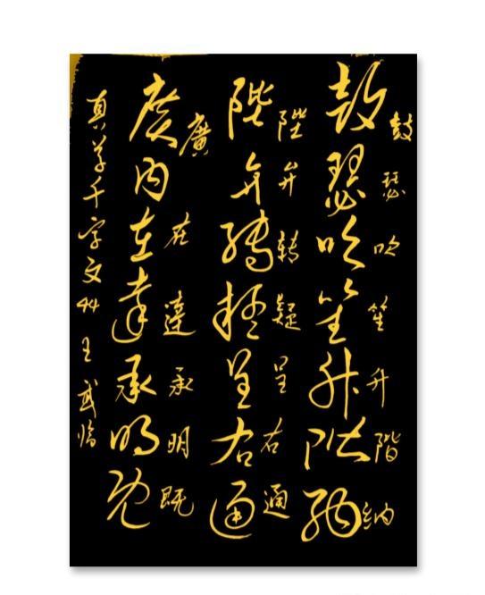 春日生活打卡季