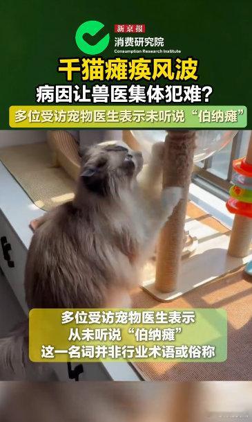 千猫瘫痪多地医院真相调查记者调查千猫瘫痪背后真相很多猫咪突发后腿发软瘫痪，经过专