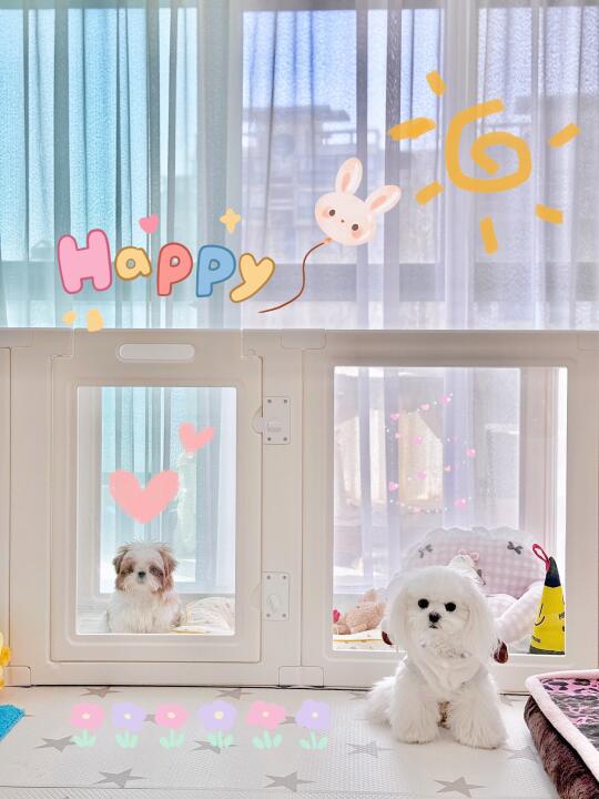 幼犬到家到底要叫多久呀？！