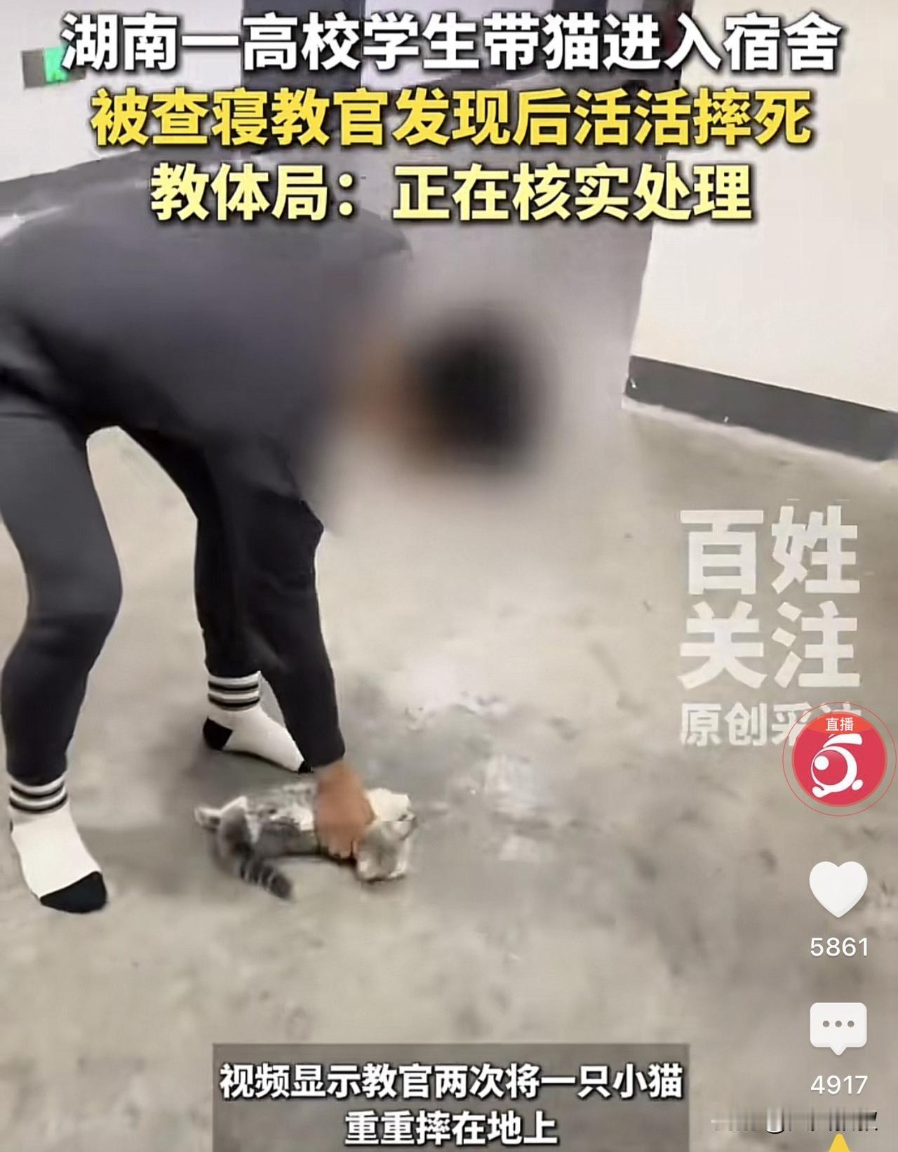 湖南，一所高校的学生将宠物猫带进了宿舍，结果被查寝的教官发现后，将小猫拎起后重重