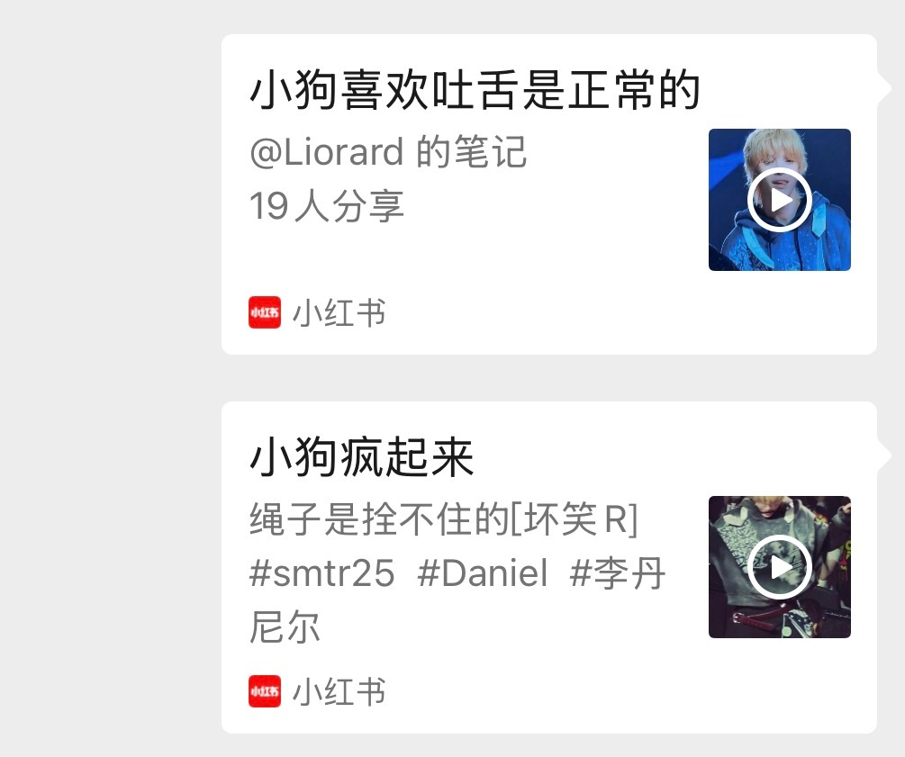 时刻关心小狗的身心健康 