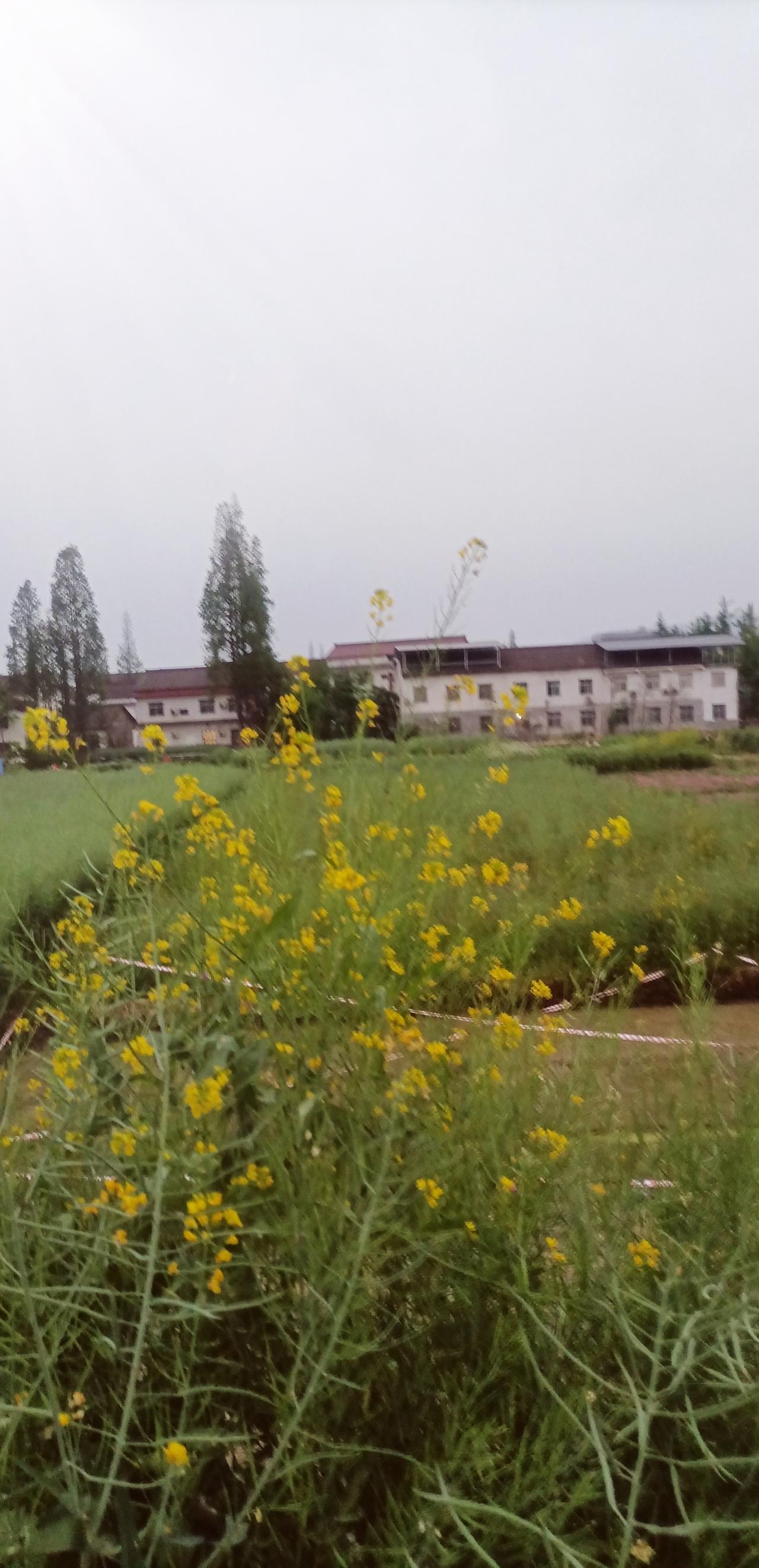 【春之韵·用热爱和感恩去咀嚼每一个当下】今年春天最想实现的心愿

生活最好的姿态